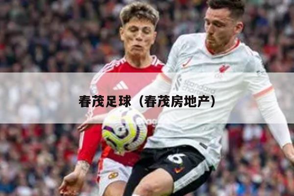 春茂足球（春茂房地产）