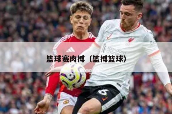 篮球赛肉搏（篮搏篮球）