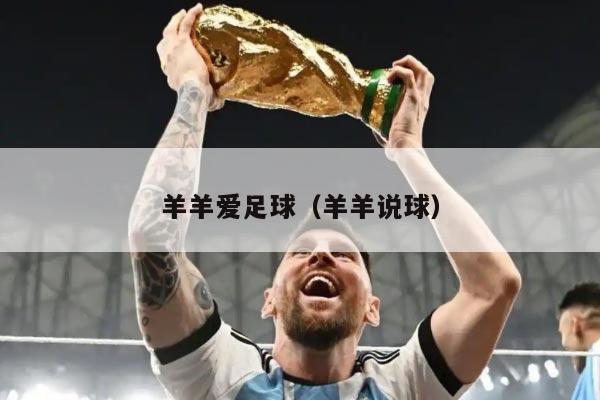 羊羊爱足球（羊羊说球）