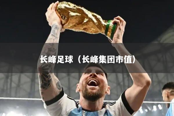 长峰足球（长峰集团市值）