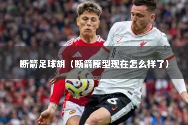 断箭足球胡（断箭原型现在怎么样了）