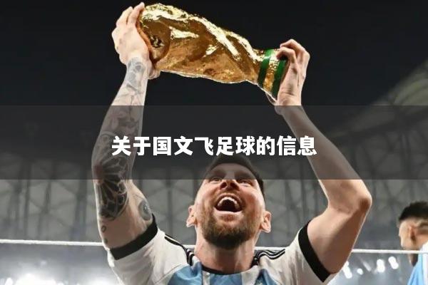 关于国文飞足球的信息